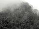 Rainforest fog (Baka Pygmies, Cameroon)