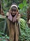 Plantains gathering (Baka Pygmies, Cameroon)